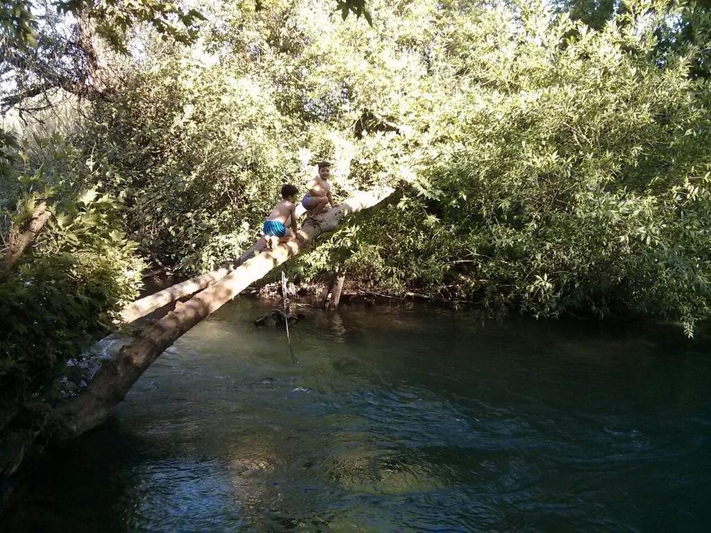 Nuriel Fruit & Guest House Sheʼar Yashuv Exterior foto