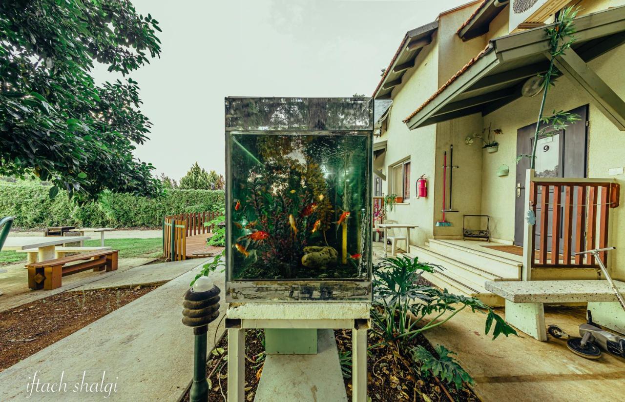 Nuriel Fruit & Guest House Sheʼar Yashuv Exterior foto